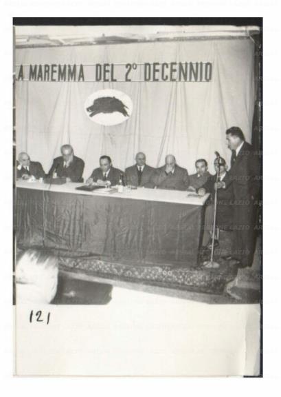 ARSIAL/ARS00176DC0.jpg