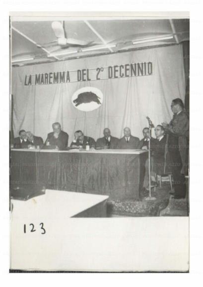 ARSIAL/ARS00176DC5.jpg