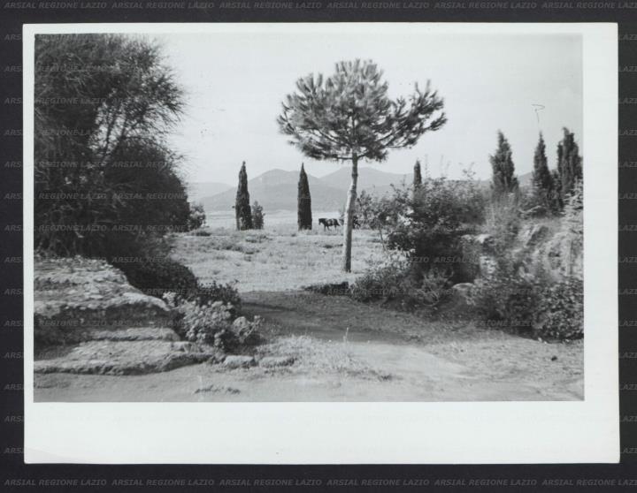 ARSIAL/ARS00176DFE.jpg