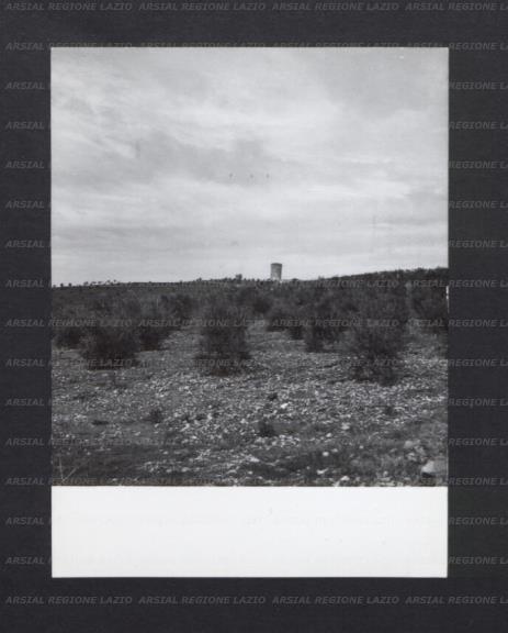 ARSIAL/ARS00176E41.jpg