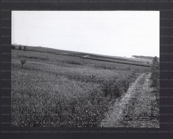 ARSIAL/ARS00176E63.jpg