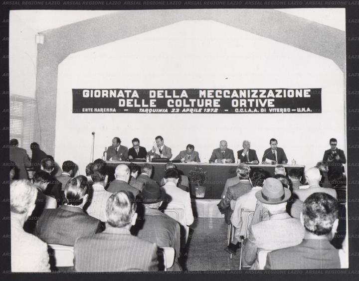 ARSIAL/ARS00176E7C.jpg