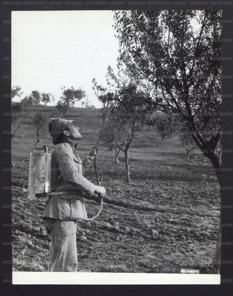 ARSIAL/ARS00176E87.jpg
