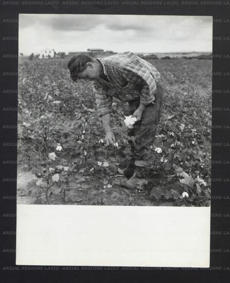 ARSIAL/ARS00176E8A.jpg