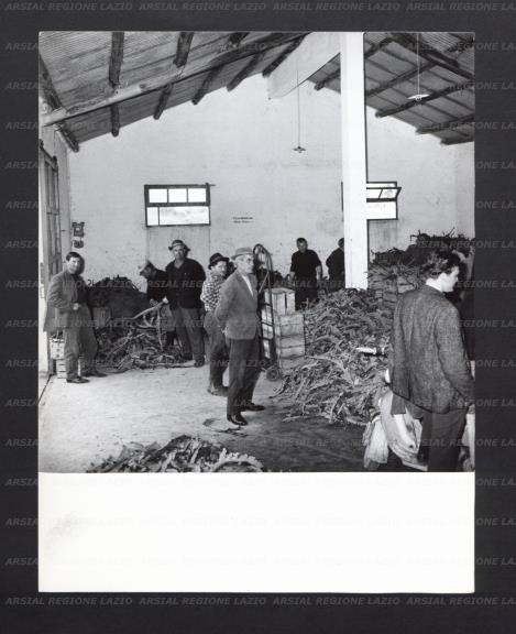 ARSIAL/ARS00176E9B.jpg