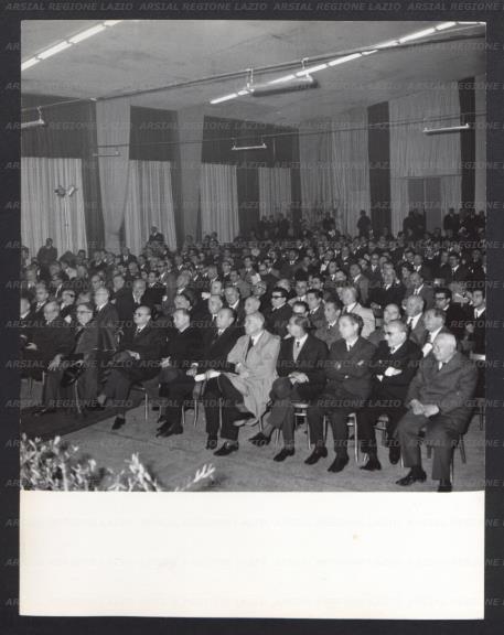ARSIAL/ARS00176EA7.jpg