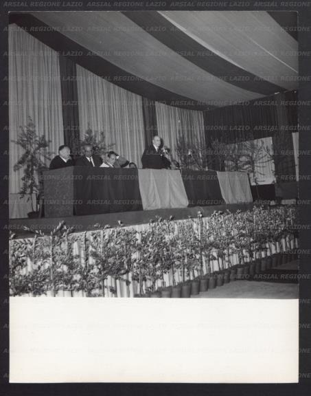 ARSIAL/ARS00176EAD.jpg