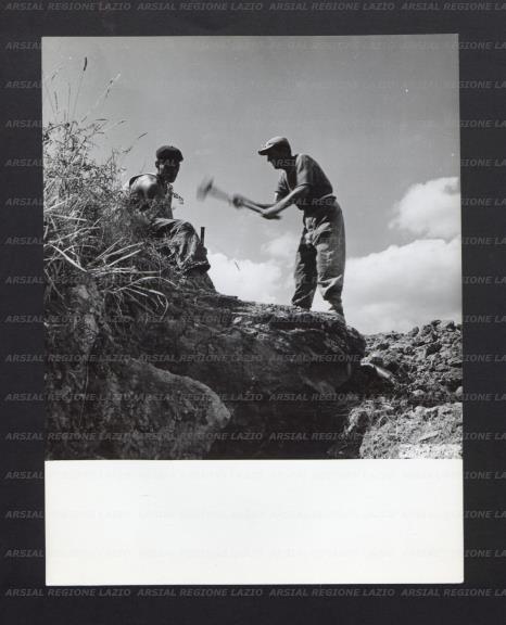 ARSIAL/ARS00176EB8.jpg