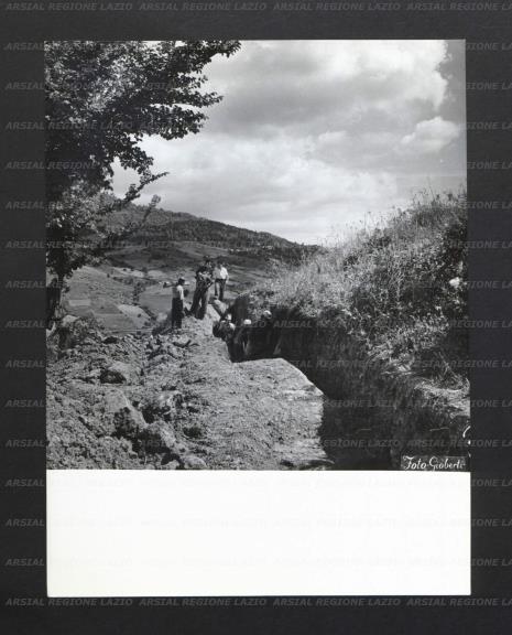 ARSIAL/ARS00176EBB.jpg