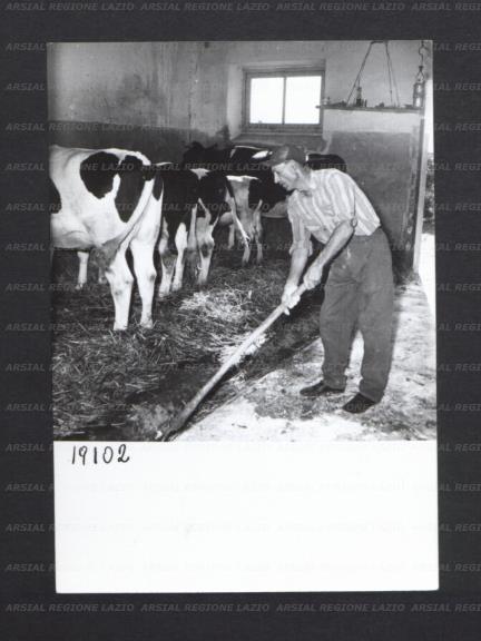 ARSIAL/ARS00176EBC.jpg