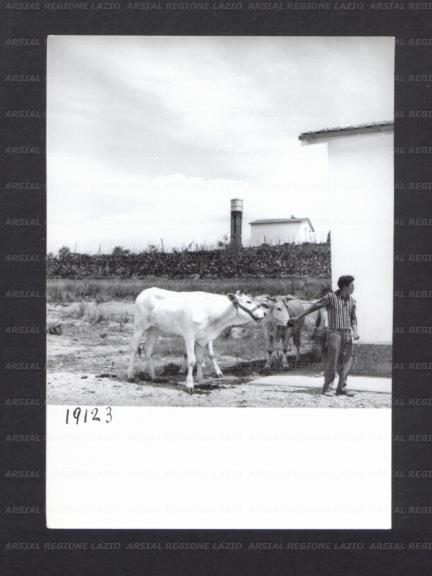ARSIAL/ARS00176EC4.jpg