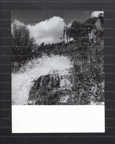 ARSIAL/ARS00176ED2.jpg