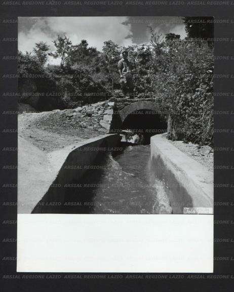 ARSIAL/ARS00176EF8.jpg