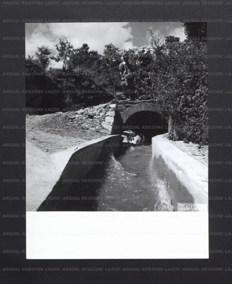 ARSIAL/ARS00176EFA.jpg