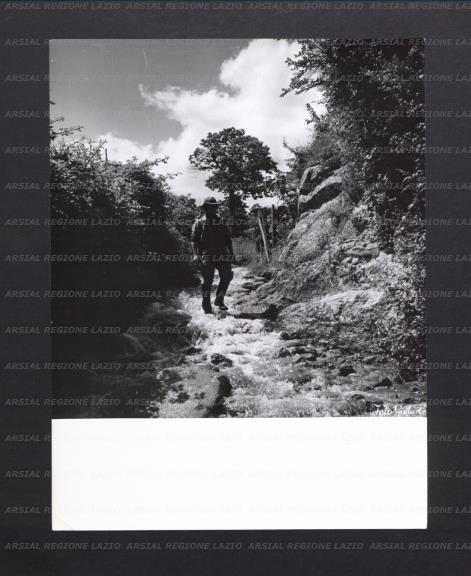 ARSIAL/ARS00176EFC.jpg