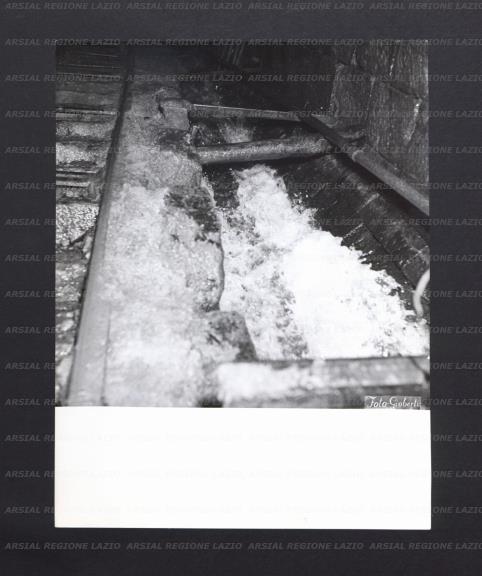 ARSIAL/ARS00176F1A.jpg