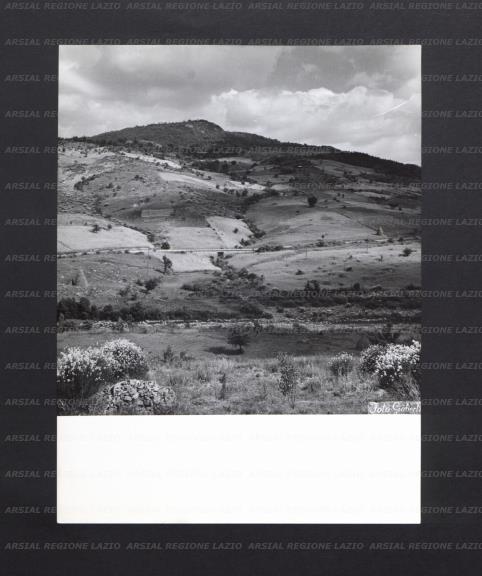 ARSIAL/ARS00176F27.jpg