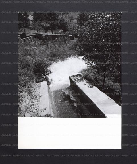 ARSIAL/ARS00176F2C.jpg