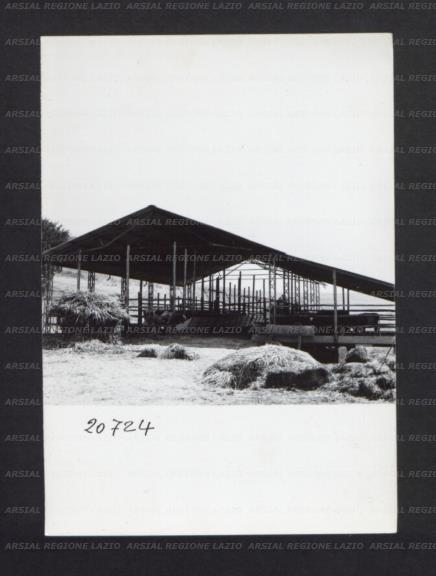 ARSIAL/ARS00176F32.jpg