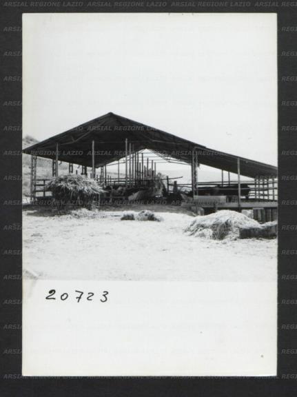 ARSIAL/ARS00176F34.jpg