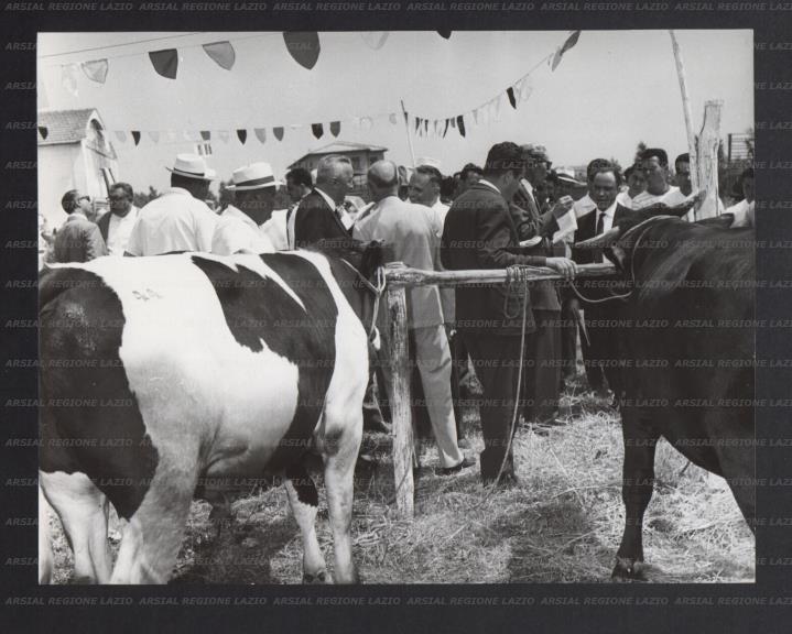 ARSIAL/ARS00176F66.jpg