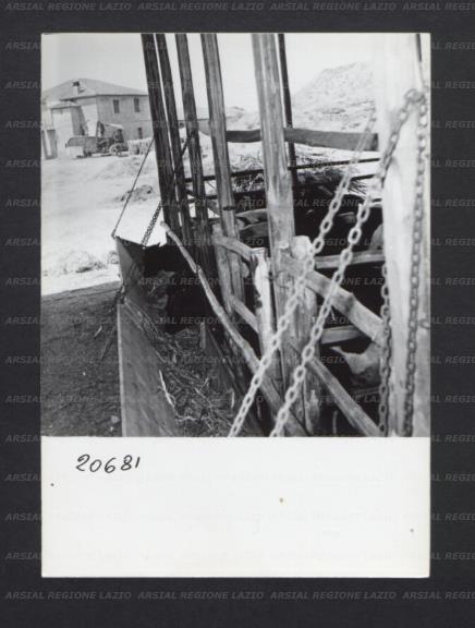 ARSIAL/ARS00176F85.jpg
