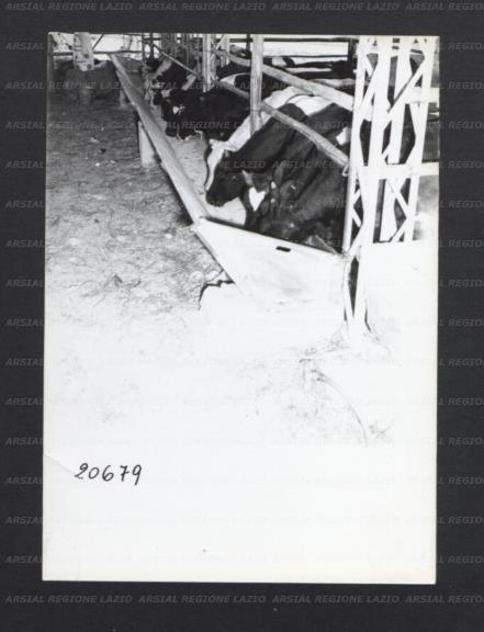 ARSIAL/ARS00176F88.jpg