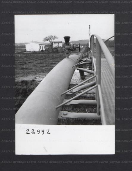 ARSIAL/ARS00176FBC.jpg