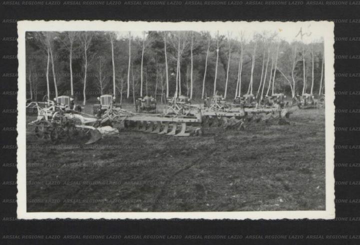 ARSIAL/ARS0017700E.jpg