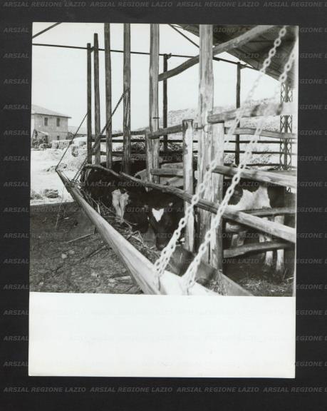 ARSIAL/ARS0017701E.jpg