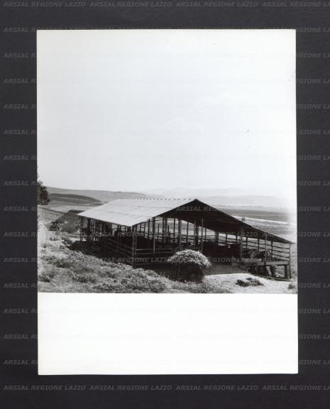 ARSIAL/ARS00177023.jpg