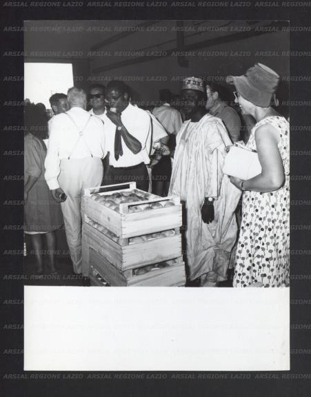 ARSIAL/ARS00177075.jpg