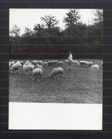 ARSIAL/ARS0017707C.jpg