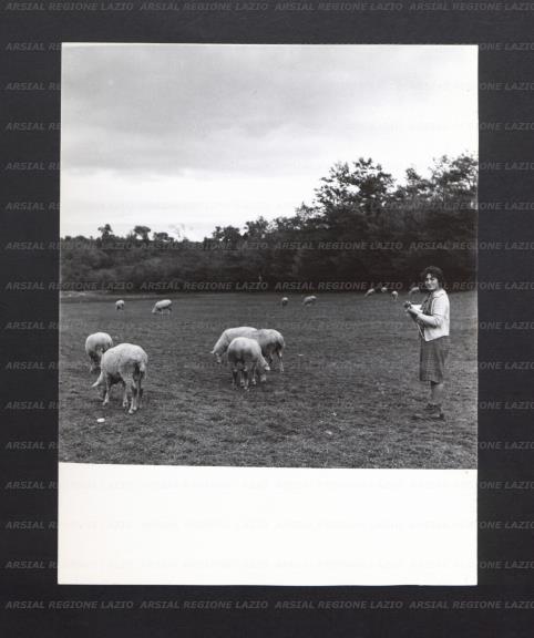 ARSIAL/ARS001770B7.jpg