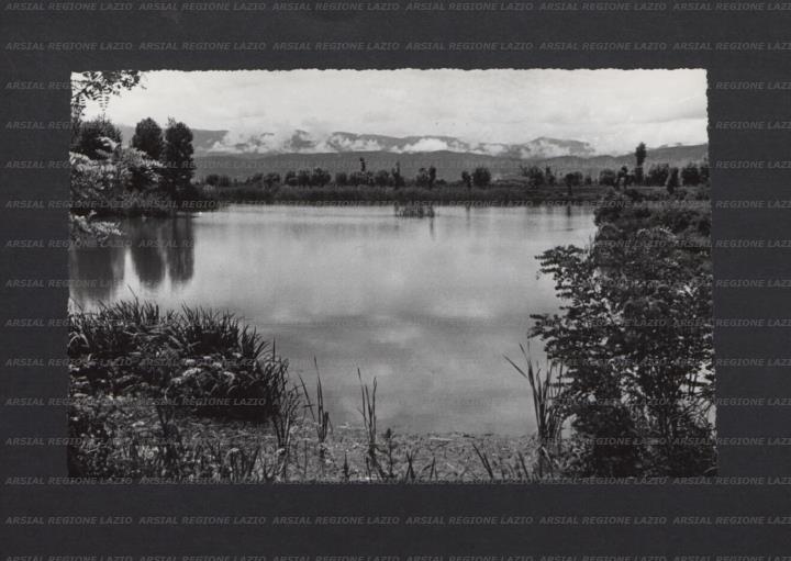 ARSIAL/ARS001770F6.jpg