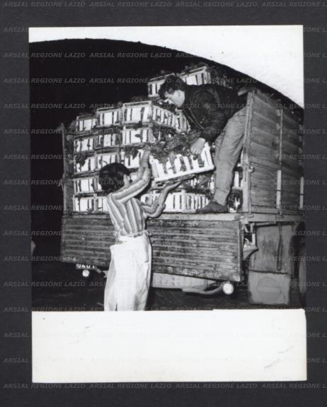 ARSIAL/ARS00177332.jpg