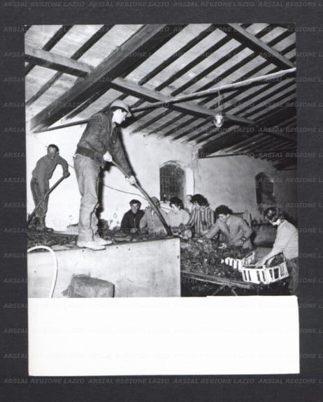 ARSIAL/ARS00177334.jpg