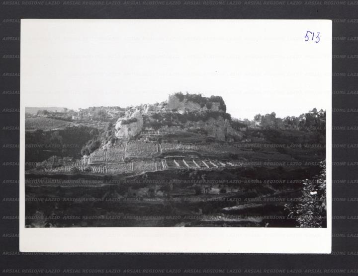 ARSIAL/ARS001773FF.jpg