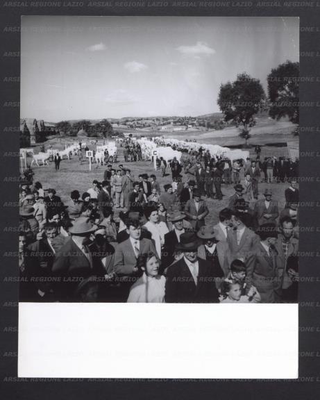 ARSIAL/ARS00177448.jpg