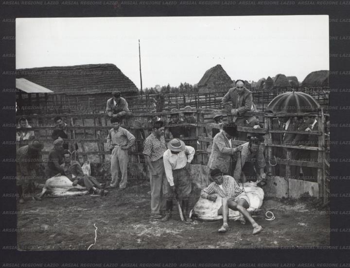 ARSIAL/ARS00177469.jpg