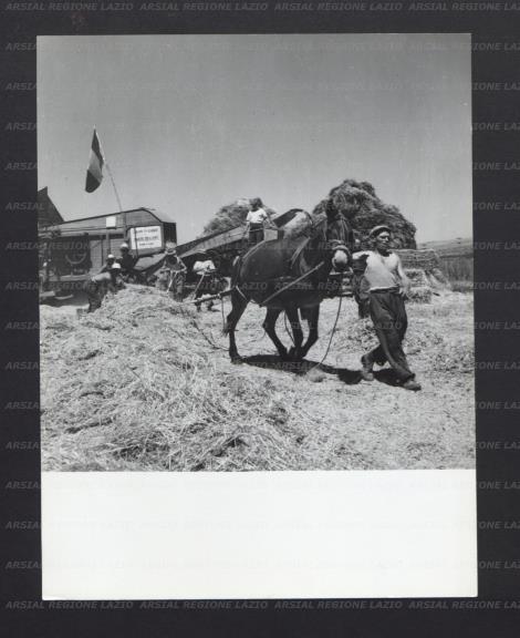 ARSIAL/ARS00177471.jpg