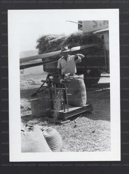 ARSIAL/ARS0017747E.jpg