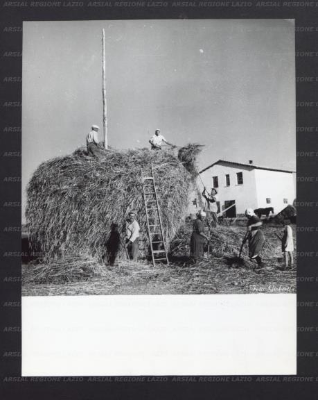 ARSIAL/ARS00177480.jpg