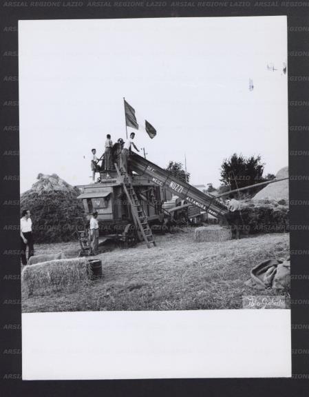 ARSIAL/ARS00177483.jpg