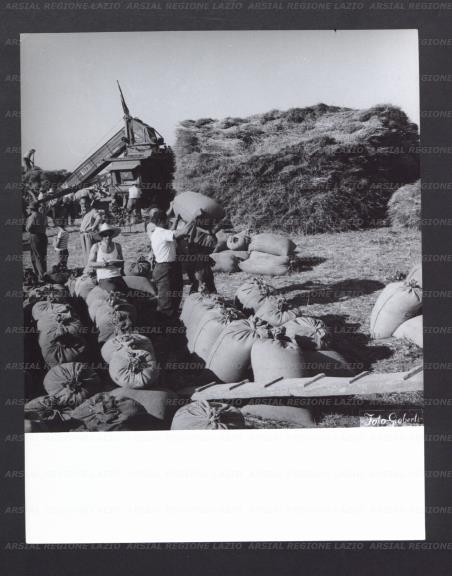ARSIAL/ARS00177485.jpg