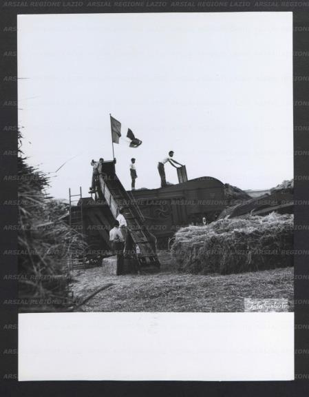 ARSIAL/ARS00177487.jpg