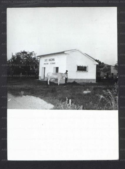 ARSIAL/ARS001775CD.jpg