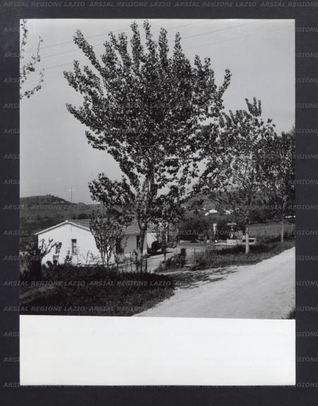 ARSIAL/ARS001775FE.jpg