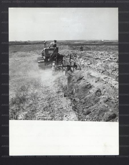 ARSIAL/ARS001775FF.jpg