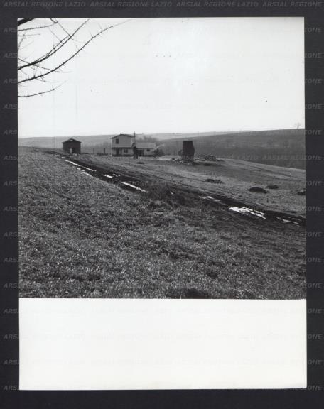 ARSIAL/ARS00177602.jpg